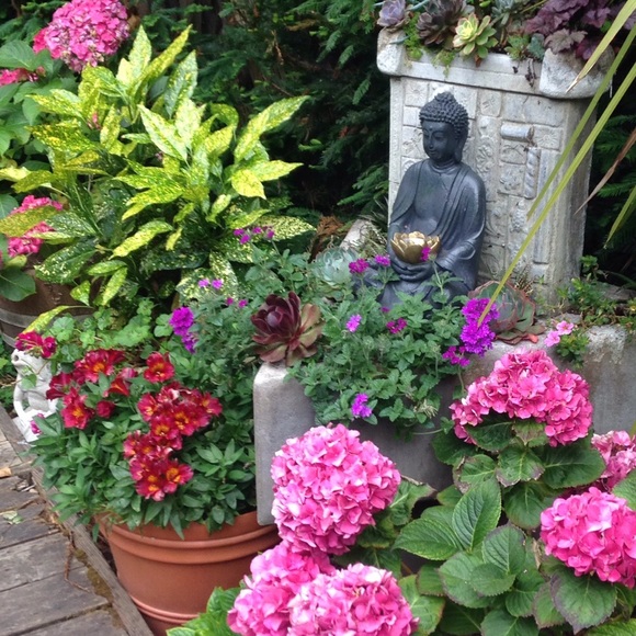 Meet your Posher, Soledad - Picture 1 of 1